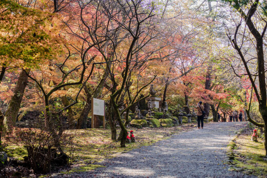 画像：大寧寺　秋